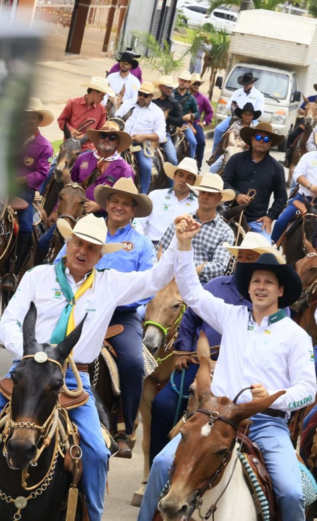 Em entrevista à Rádio Difusora, o ex-senador Luiz do Carmo afirmou que Ronaldo Caiado disse a ele que o nome para compor a chapa deverá sair do PSD.