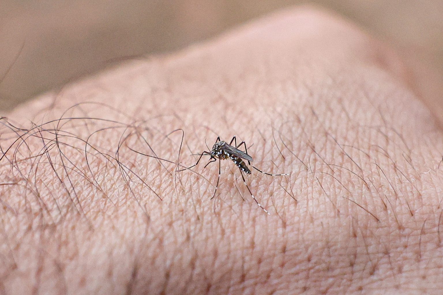 Uma bebê indígena de 48 dias morreu vítima de chikungunya em Dourados. A confirmação foi divulgada pela Vigilância em Saúde do município nesta sexta-feira