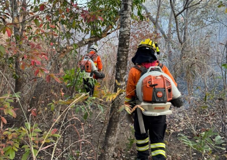 Incêndio atinge arredores do Parque Estadual da Serra Dourada, em Goiás