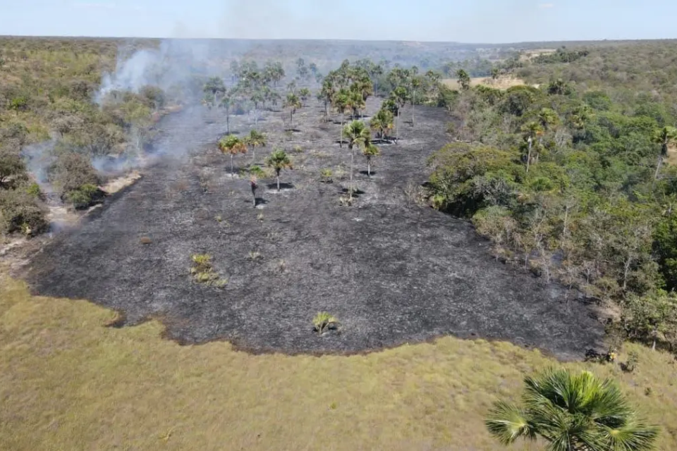 incêndios